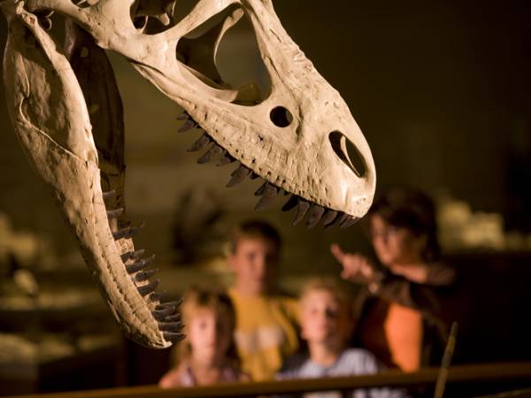 The Dickinson Museum Center has fantastic dinosaur displays, Dickinson, ND. 