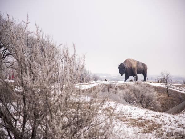 World's Largest Buffalo Monument on a frosty winter day, Jamestown, ND.