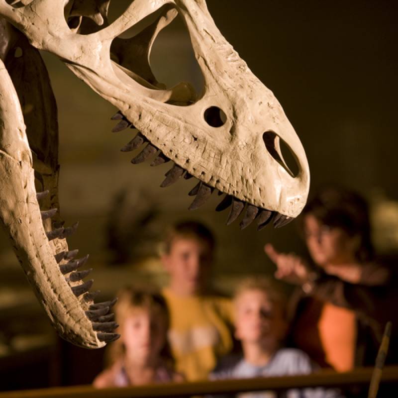 The Dickinson Museum Center has fantastic dinosaur displays, Dickinson, ND. 
