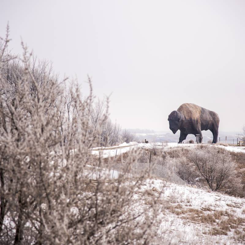 World's Largest Buffalo Monument on a frosty winter day, Jamestown, ND.